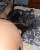 Анкета проститутки Юлия - метро Хорошевский, возраст - 24